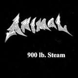 900 LB. Steam