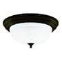Westinghouse 64290 11-Inch One-Light Flush Mount Fixture, Oil Rubbed Bronze with Frosted White Alabaster Globe