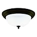 Westinghouse 64290 11-Inch One-Light Flush Mount Fixture, Oil Rubbed Bronze with Frosted White Alabaster Globe