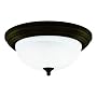 Westinghouse 64290 11-Inch One-Light Flush Mount Fixture, Oil Rubbed Bronze with Frosted White Alabaster Globe