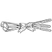 Golf Clubs Pin