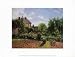 The Artist's Garden at Eragny, 1898 Art Poster Print by Camille Pissarro, 16x12