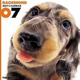 THE DOG ダックスフンド 2007年 カレンダー
