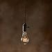 Bulbrite Incandescent A21 Medium Screw Base (E26) Light Bulb, 1 Count (Pack of 1), Antique