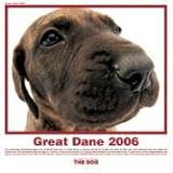 The Dog Great Dane 2006 Calendar (Artlist Collection)
