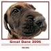 The Dog Great Dane 2006 Calendar (Artlist Collection)