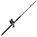 Shakespeare Tidewater Line Counter Combo
