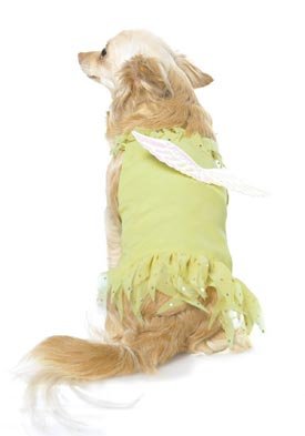 2PC Peter Pan's Tinkerbell Cute Dog Holiday Pet Costume (Yellow-Small)