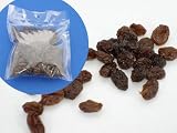 レーズン(オイルコーティング)100g