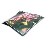 Electronics : Masters Classic Presentation Sleeve A3 Pack of 10 4512