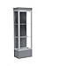 Waddell Edge Series Floor Display Case Frame Color: Satin, Base Color: Carbon Mesh, Case Backing: Slate