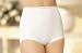  : Full Coverage Nylon Brief