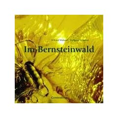 Im Bernsteinwald