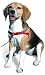 SENSE-ation No-Pull Dog Harness - Large/Wide (Black)