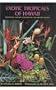 Exotic Tropicals of Hawaii: Heliconias, Gingers, Anthuriums, and Decorative Foliage
