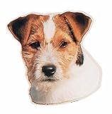 Eigenschaften Trixie  / Aufkl. Jack Russell Terrier, (K)
