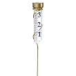 Conant Custom VRG6 Brass Grande View Rain Gauge with Spiral Stake