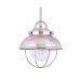 Sea Gull Lighting 6150-98 Sebring One-Light Mini Pendant, Brushed Stainless Finish with Clear Seeded Glass