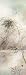 Beautiful Bamboo II by Su Yue Lee. Size 12.00 inches width by 36.00 inches height. Hi...