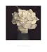 Gardenia in Green Vase Botanical Art Poster Print by Carnochan, 16x18
