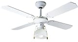Ventilateur de plafond Dallas Blanc 105 cm de diamètre