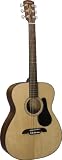 Alvarez  RF210 Regent Series Folk Acoustic Guitar with Hard Case