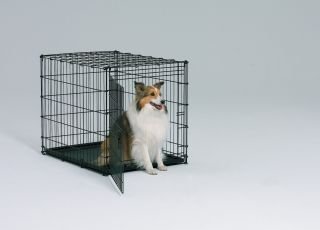 Starter Series Home Training Dog Crate : Size MODEL 1142