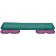 The Step F1053 Home Trainer