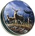 1 Gallon Deer Ridge tin with our Vanilla Butter w/ Almonds and Pecans