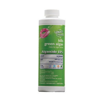 Aqua Chem Algae Eliminator Algaecide for Swimming Pools, 1-Quart