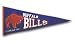 Buffalo Bills Throwback Pennant