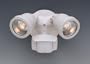 Contemporary White Motion Detector