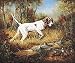 Pointer