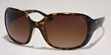 Polo Ralph Lauren RL 8009 sunglasses
