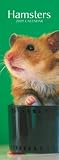 Hamsters 2009 Slimline Calendar