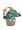 Miami Dolphins