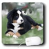 Dogs Bernese Mountain Dog - Bernese Mountain Dog - Mouse Pads