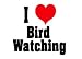 I Love/Heart Bird Watching Apron