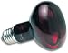 75 Watt Infrared Inc Nocturnal Bulb