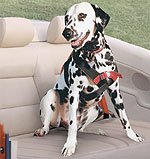 Covercraft RO1405 ROADIE Ultimate Pet Restraint, 25-50 lbs (Border Collie)