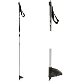 Alpina ST Cross Country Ski Poles 2012