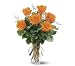 6 Orange Roses