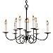 Ten Arms On Two Tiers Chandelier by Hubbardton Forge