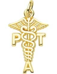 Rembrandt Charms Physical Therapist Assistant Charm