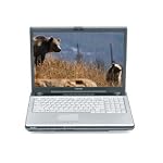 Toshiba PSPB3U-0MV00L Satellite P205-S7806 17.0