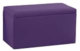 Smarty Pants Kid'S Storage Bench By Skyline Furniture In Grape Purple Cotton