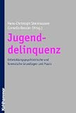 Jugenddelinquenz: Entwicklungspsychiatrische und forensische Grundlagen und Praxis
