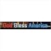 Lighted Holiday Display 1544 God Bless America (RL LED)