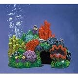 Australian Barrier Reef - X-Small - 6 in. x 4 in. x 4 12 in.