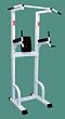 Mega Chinning, Dipping, & Leg Raise Unit